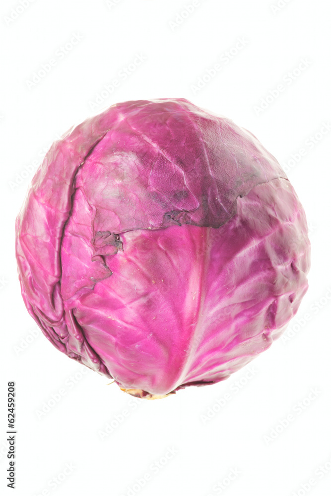 Small red cabbage Small red cabbage