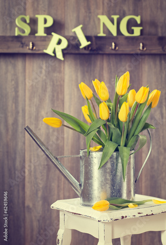Fototapeta Naklejka Na Ścianę i Meble -  Spring Tulips
