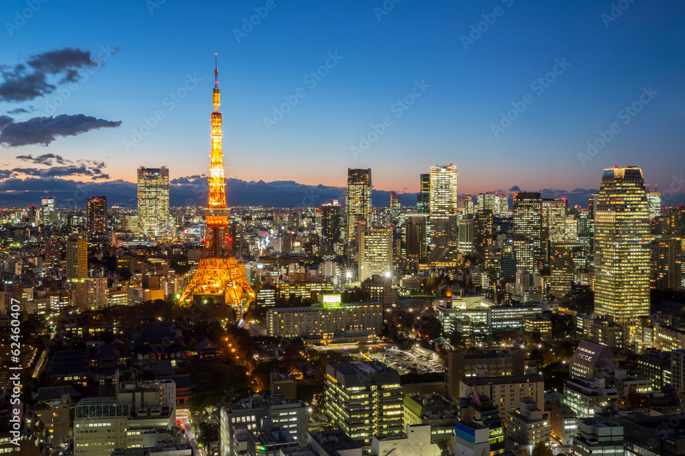 Fototapeta premium Tokyo Tower