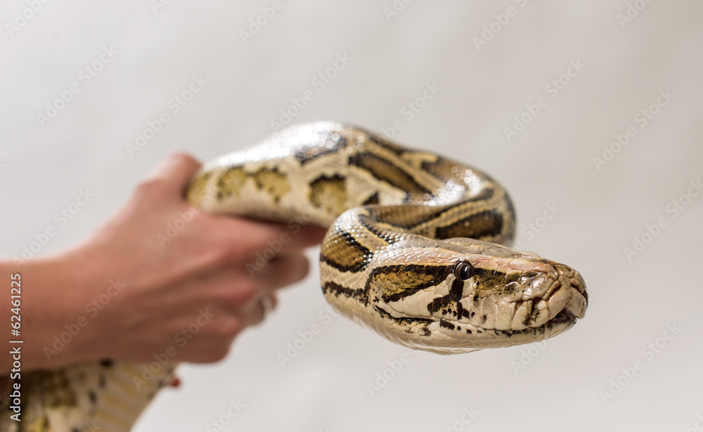 Python in hands Python in hands