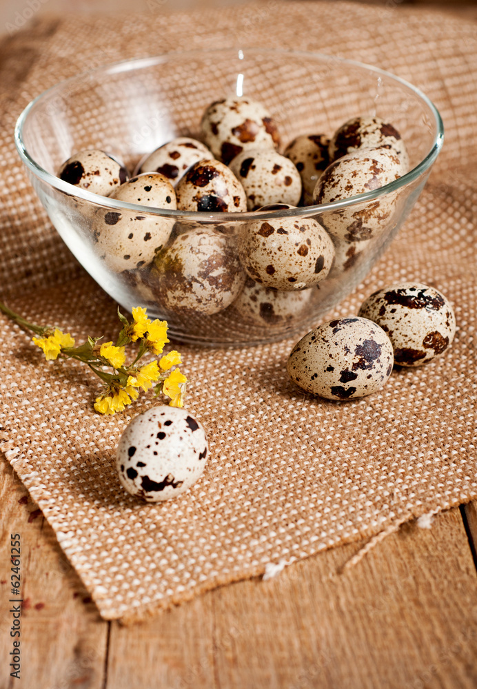 Quail eggs Quail eggs