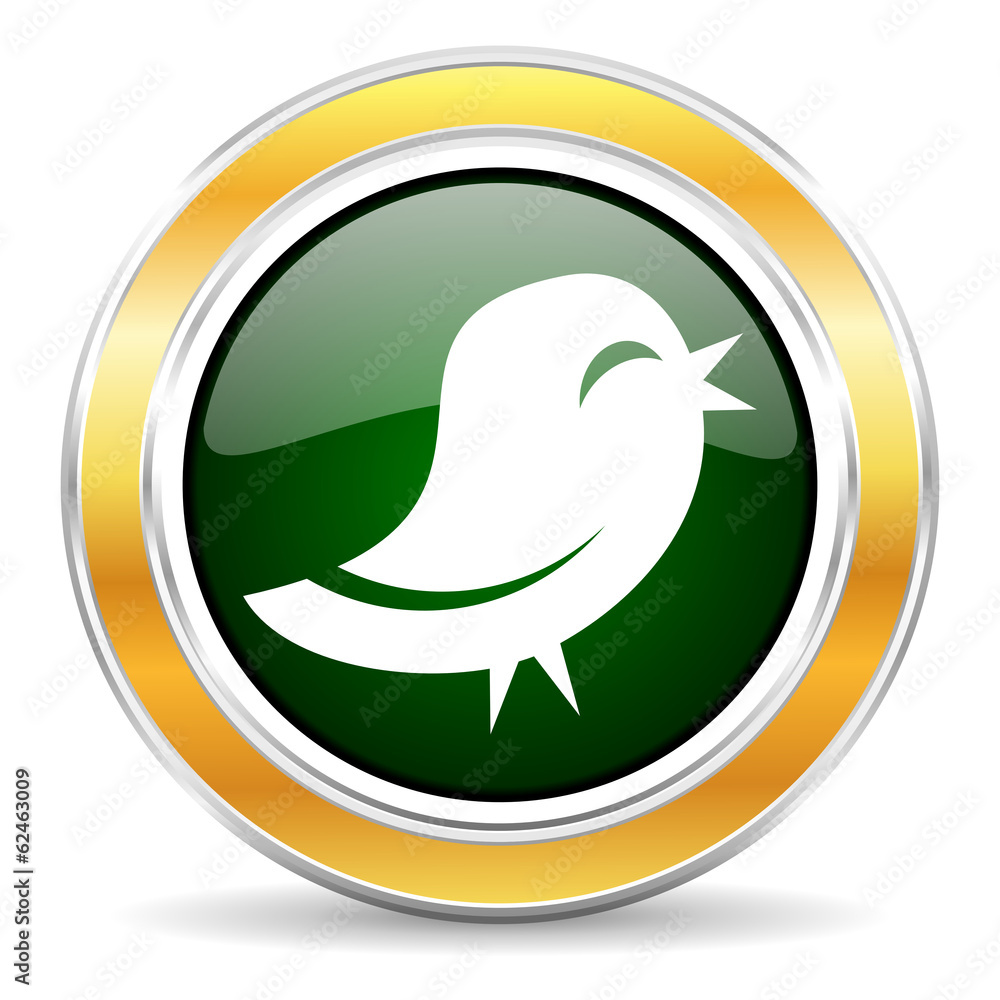 twitter icon twitter icon
