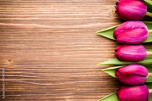 Fototapeta Naklejka Na Ścianę i Meble -  Tulip.