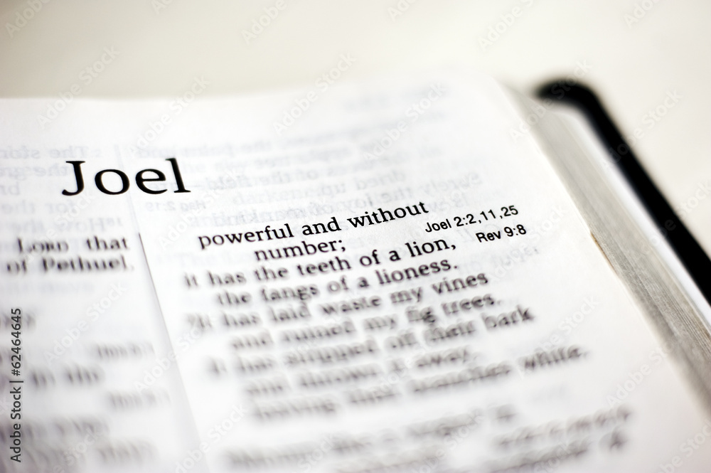 Book of Joel Book of Joel