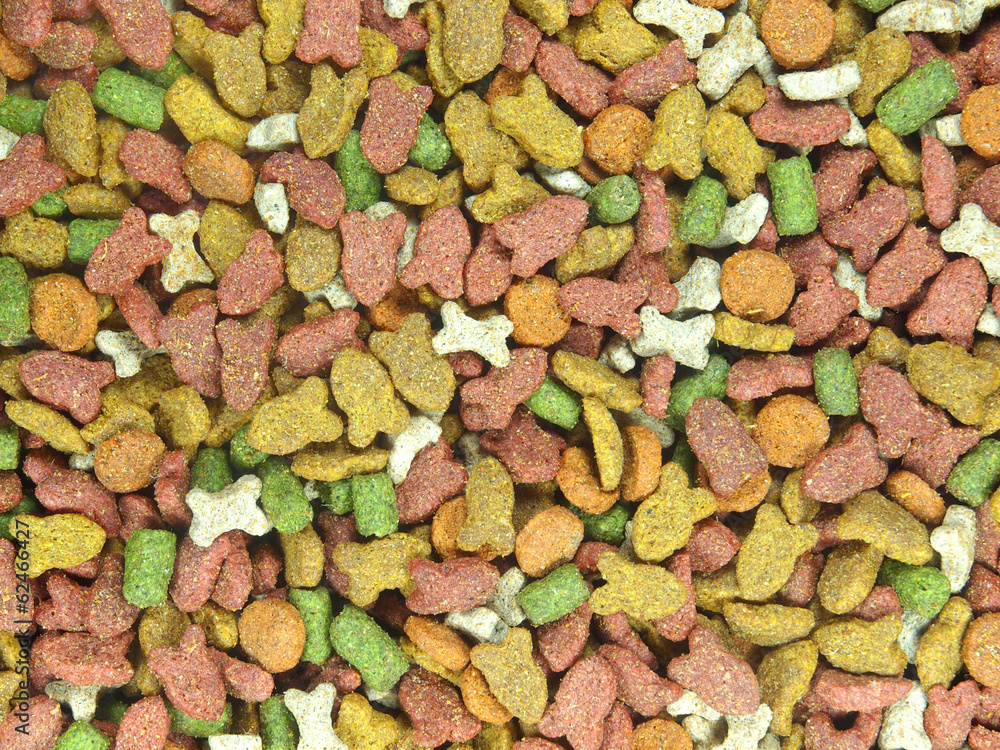Cat food, salmon and vegetables Cat food, salmon and vegetables
