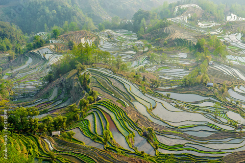 Yuan Yang Rice Terraces photo