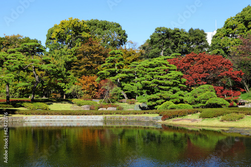 Japanese garden