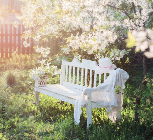 Fotografie garden bench