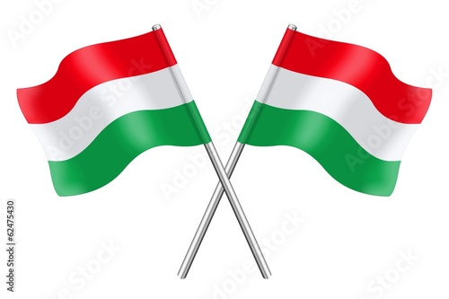 Free Download Two Hungarian flags - GFXLoad