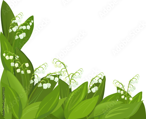 background flower lily of the valley