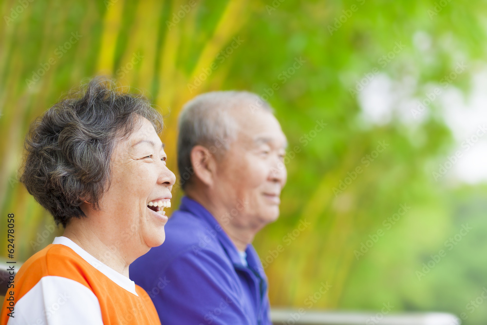 happy asian seniors in the park happy asian seniors in the park
