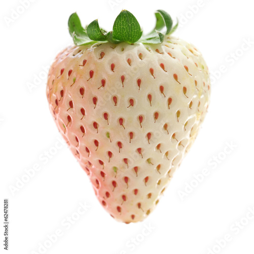 white strawberry isolated on white background