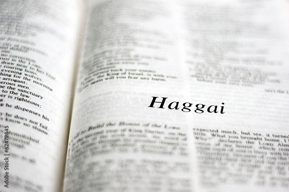 Naklejka premium Book of Haggai