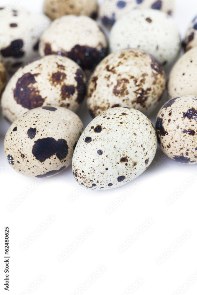 Quail eggs border