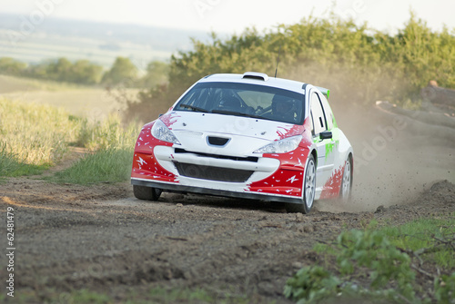 Rally car in action - gravel - Peugeot © bikerpb