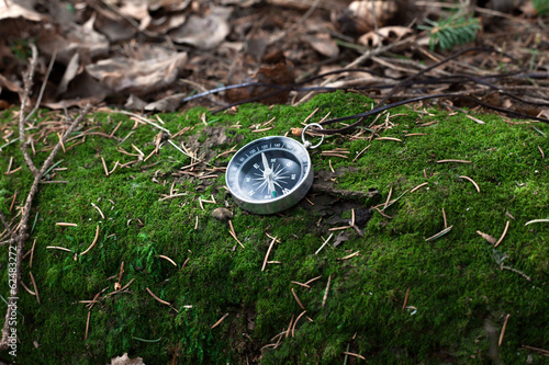 compass on a mossy log in a forest