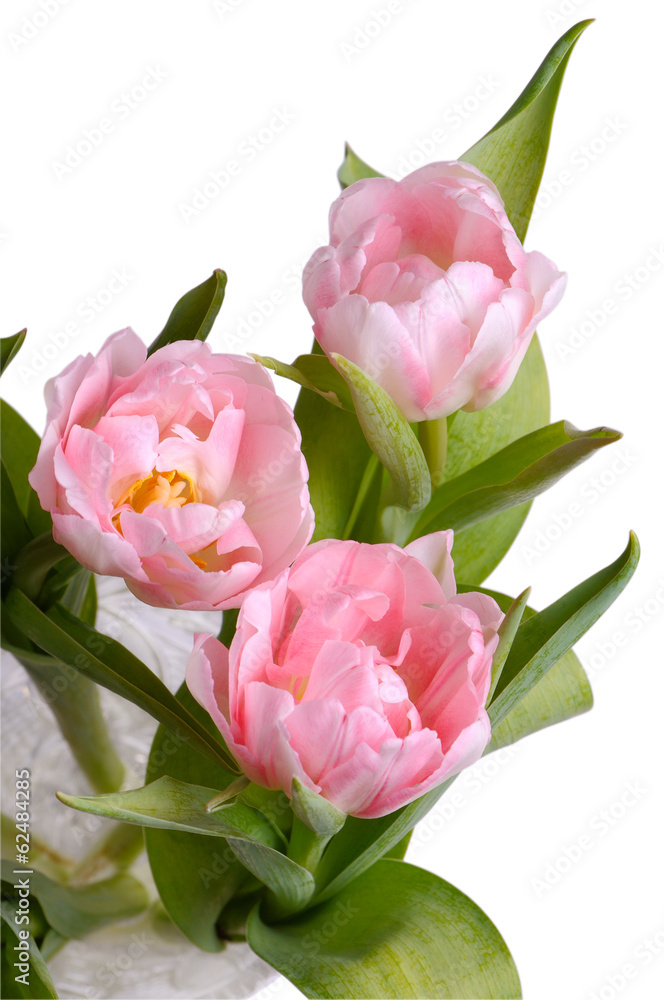 Vase of pink tulips from above