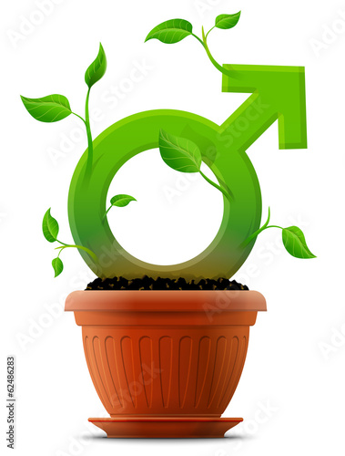 Growing male symbol like plant with leaves in flower pot