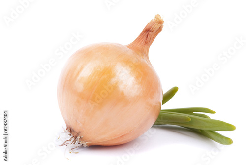 Onions on a white background.