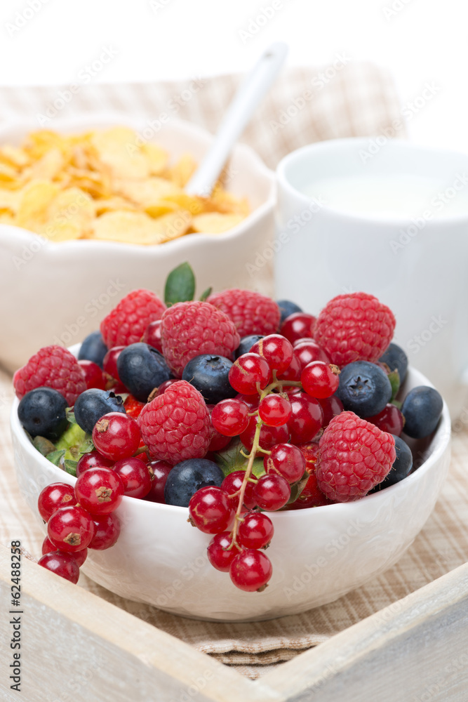 fresh berries, corn flakes and milk on a tray, close-up fresh berries, corn flakes and milk on a tray, close-up