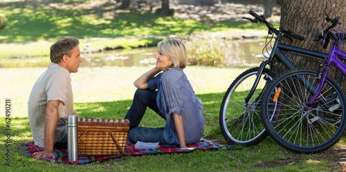 Couple enjoying picnic in park