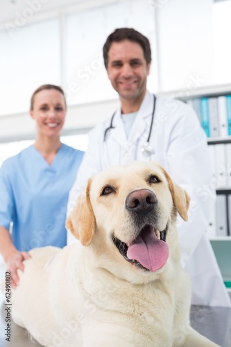 Veterinarians with dog in clinic
