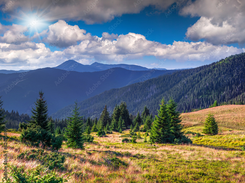 Beautiful summer landscape in the Carpathian mountains Beautiful summer landscape in the Carpathian mountains