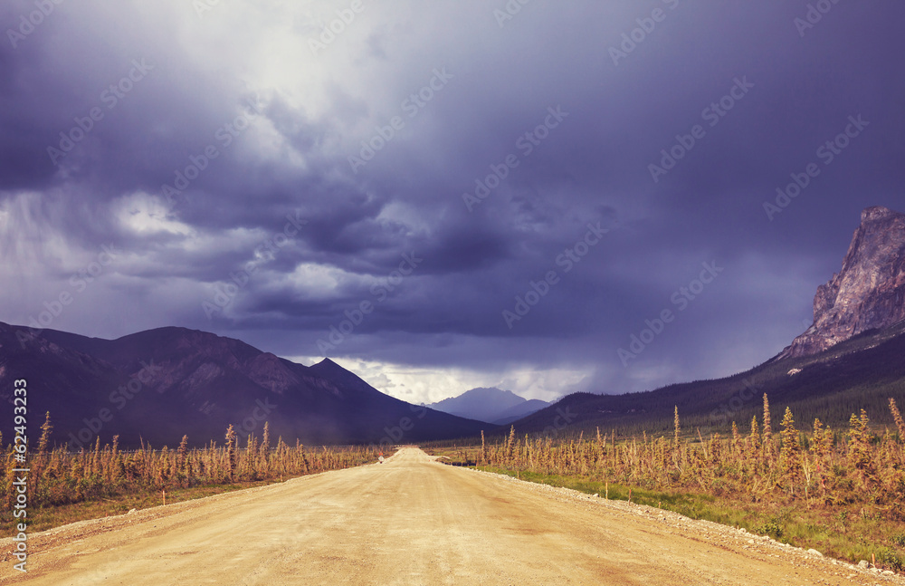 Obraz premium Road on Alaska