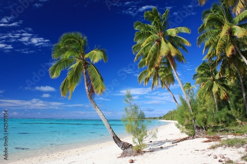 Obraz na plátně Beautiful Beach on Aitutaki Island, Cook Islands
