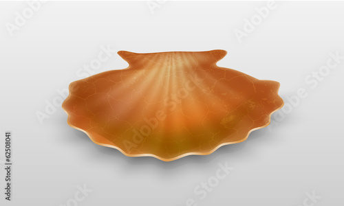 Empty shell