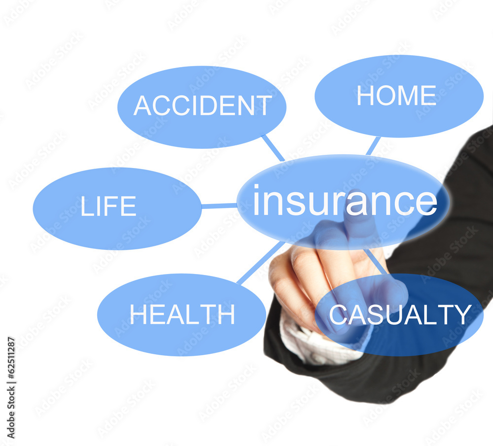 insurance dynamics