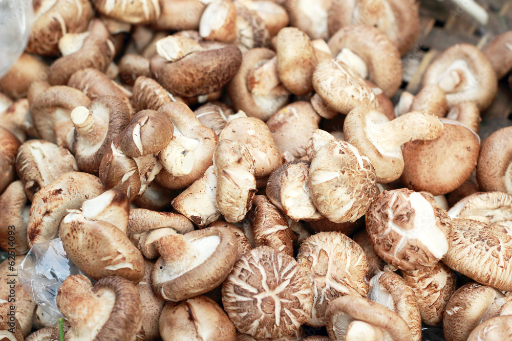 fresh mushrooms in the market