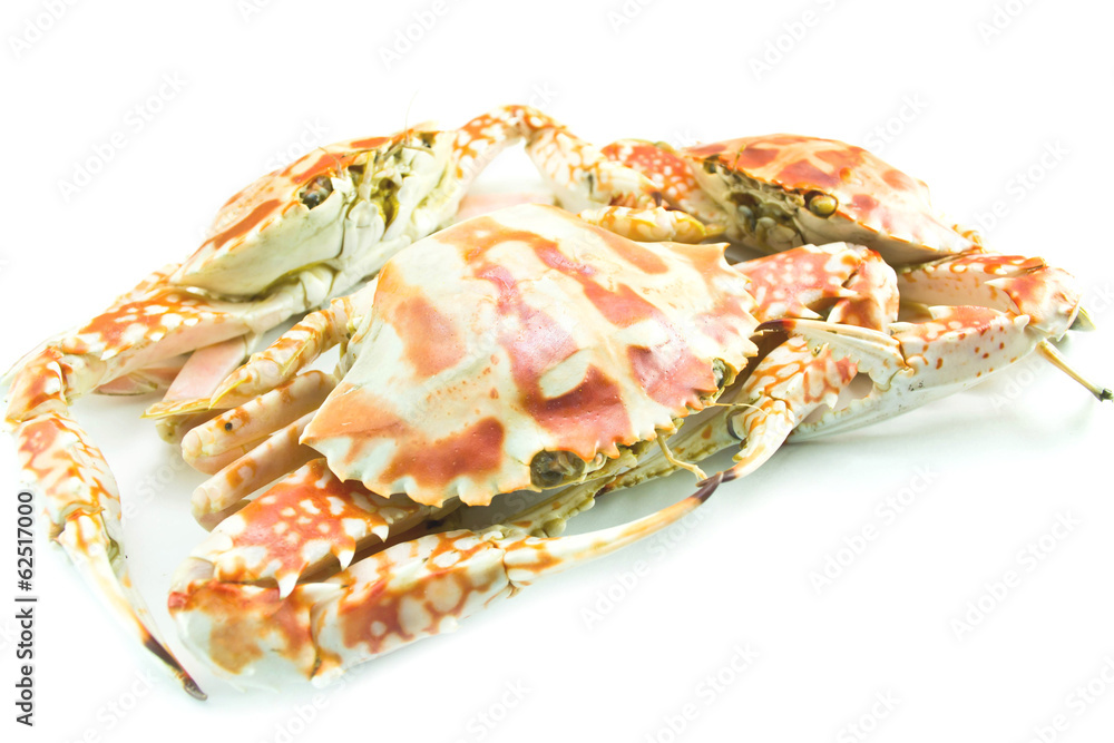 Crab isolated on white background Crab isolated on white background