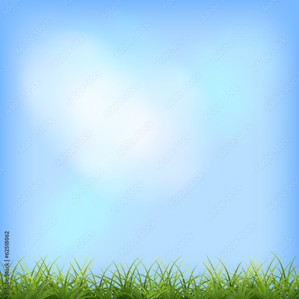 Obraz premium Green grass blue sky natural background