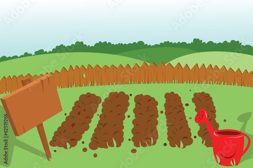 Vegetable Garden