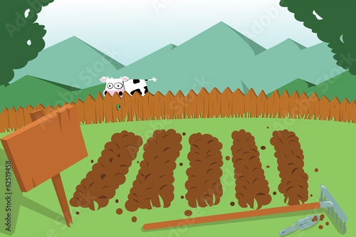 vegetable garden and cow