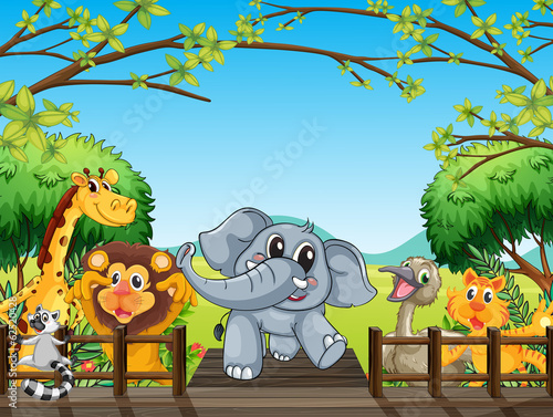 A group of wild animals at the bridge in the forest