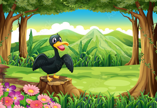 A stump with a black duck