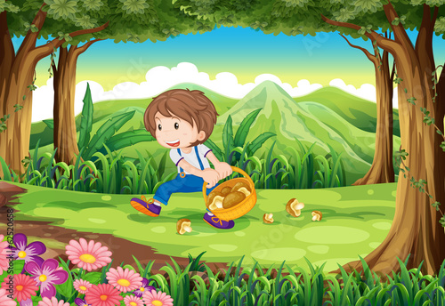 A forest with a young boy picking mushrooms