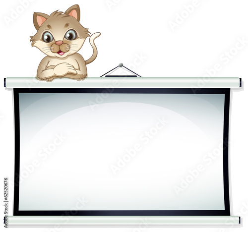 A bulletin board with a cat