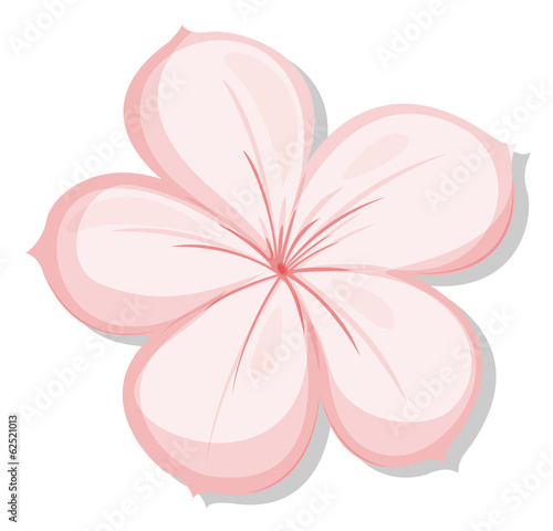 A five-petal pink flower