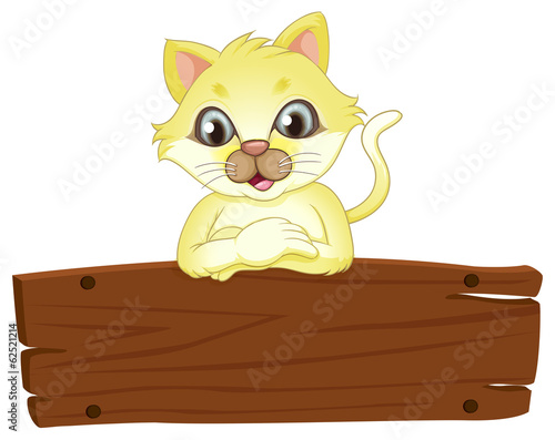 A yellow cat above the empty signboard