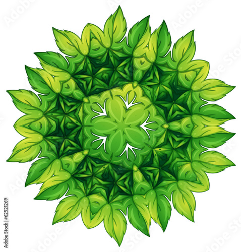 Green leafy border design