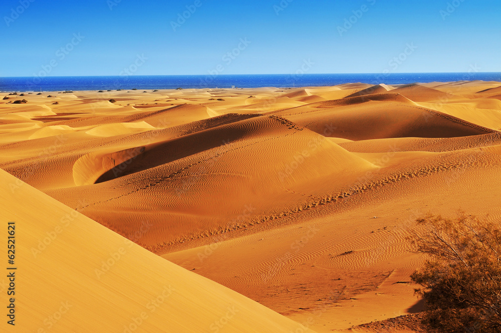 Natural Reserve of Dunes of Maspalomas, in Gran Canaria, Spain - obrazy, fototapety, plakaty 