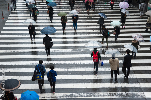 雨の中で傘を差して横断歩道を渡る人々