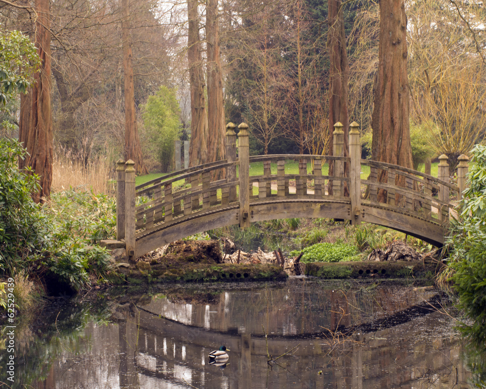 Bridge Bridge