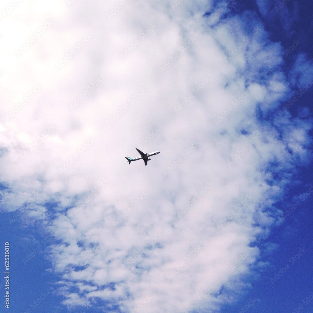 The plane in the sky The plane in the sky