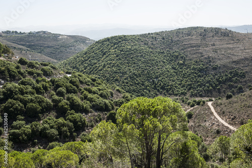 H  gellandschaft bei Bikfaya  Libanon