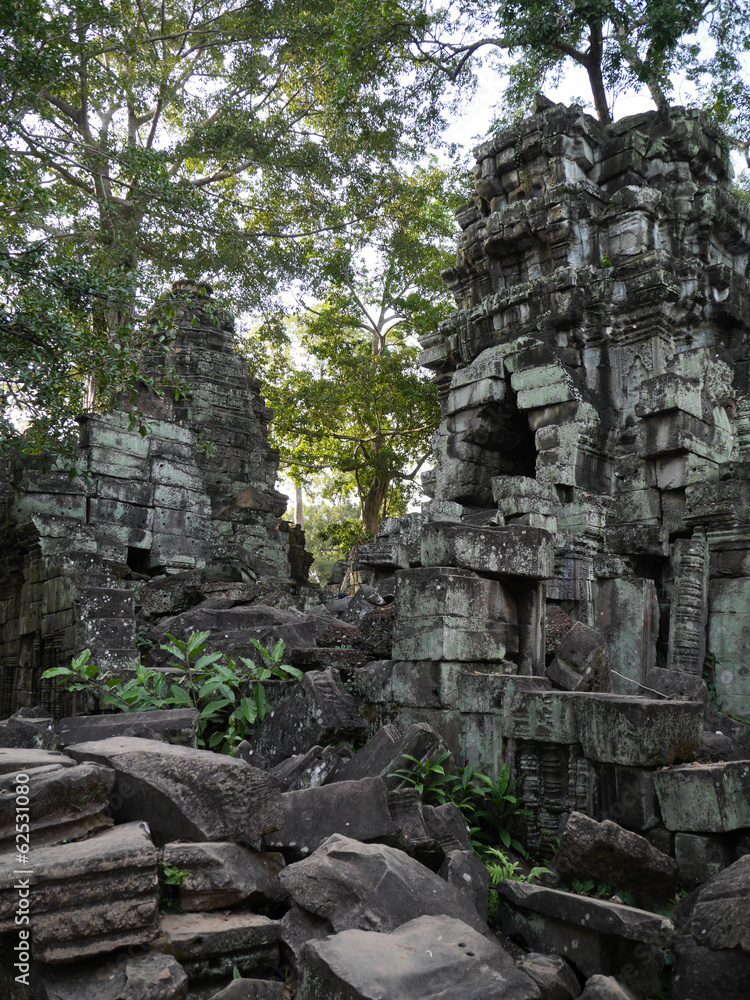 ta prohm temple, Angkor, Cambodia