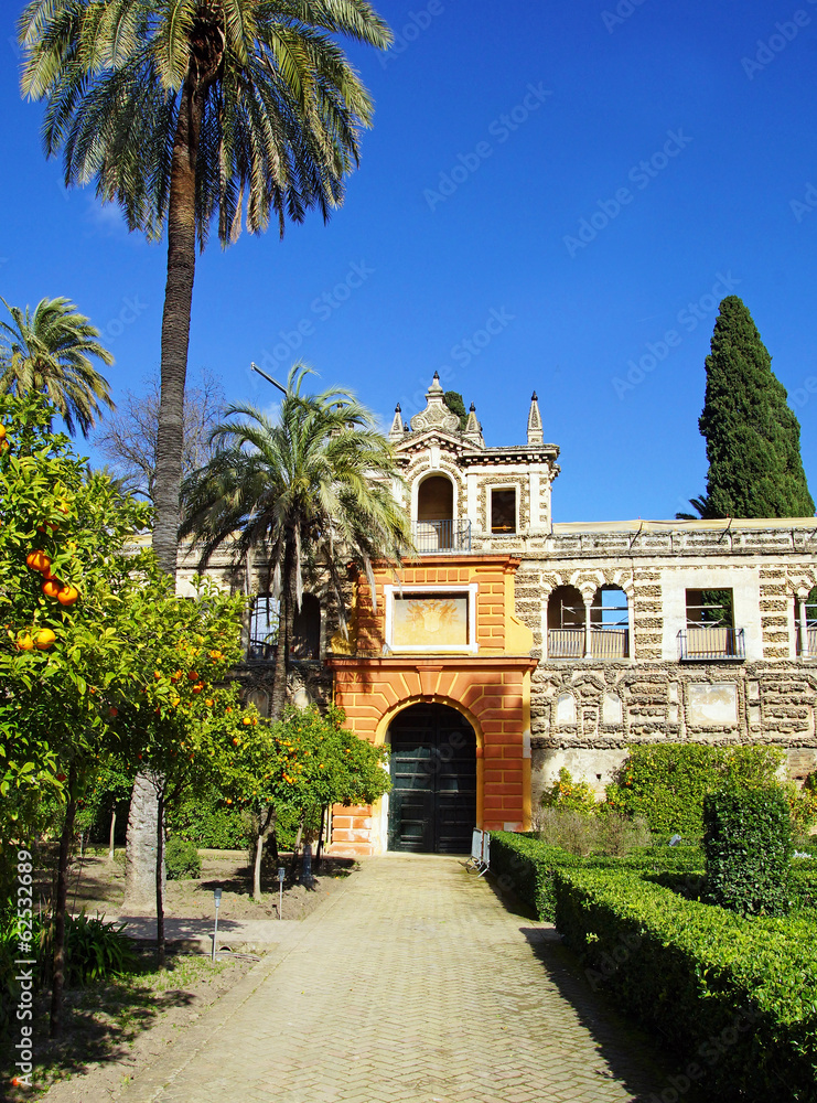 Fototapeta premium jardin de l'Alcazar